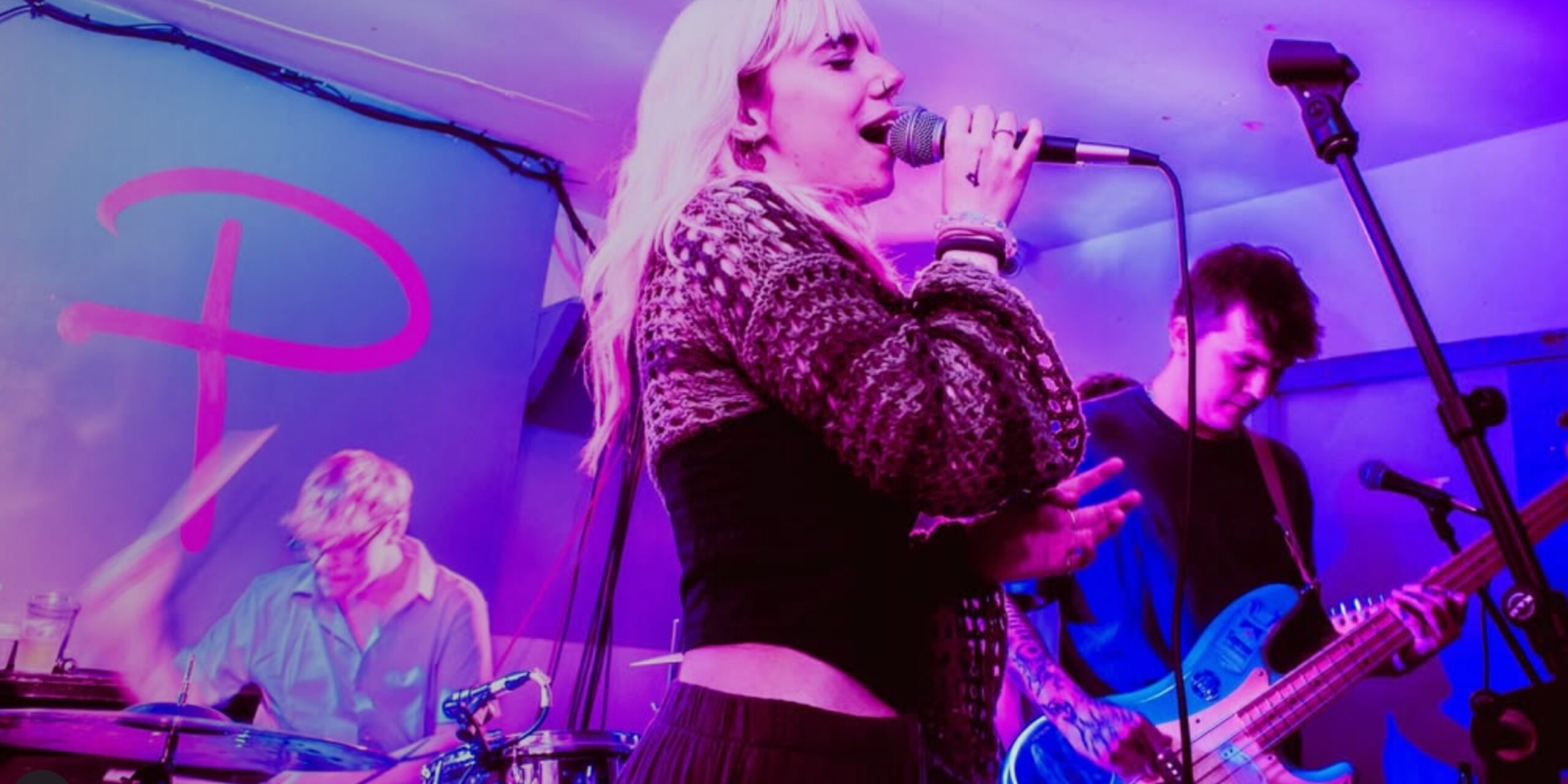 Hans on the Cam Slide Image 1